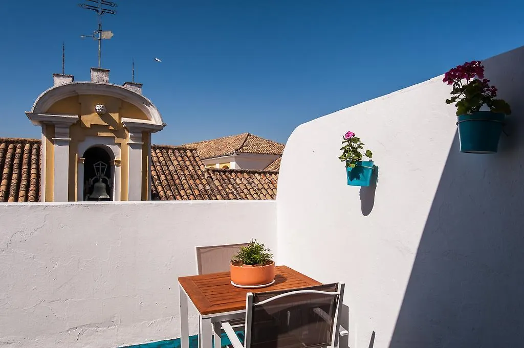 Apartment Hommyhome Pozo Santo Penthouse Seville